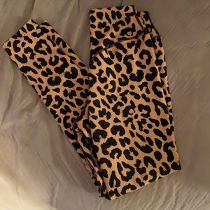 Kingdom Collection- King Cheetah (bra too)